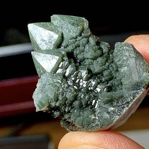 内蒙古産三頭緑水晶・15g（中国産鉱物標本）