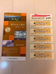 西武ホールディングス株主さまご優待券1冊及び西武ライオンズ内野指定席券５枚（送料込）