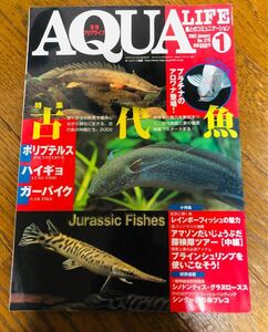 月刊アクアライフ 2002年1月 特集 「古代魚」ポリプテルス ハイギョ ガーパイク他AQUALIFE