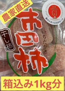 南信州産 市田柿 市田干し柿 干し柿 箱込み1kg長野県産