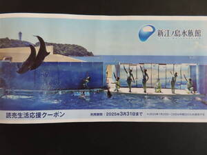 新江ノ島水族館 特別割引券★5名まで★2025年3月31日まで