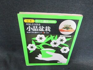 図解ホーム園芸盆栽講座　やさしくなれる小品盆栽/DFG