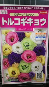 ３袋セット トルコギキョウ ロジーナ トルコ キキョウ 桔梗 種 郵便は送料無料