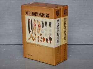 原色和漢薬図鑑〈上下2巻揃い〉難波恒雄◆保育社/1980年◆漢方医療/漢方医学/本草