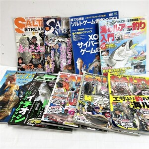 陸っぱりソルトルアー雑誌9冊 ルアー・マガジン ソルティ ストリーム 入門 シーバス クロダイ ヒラメ マゴチ ソイ