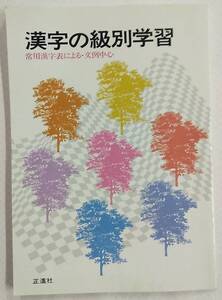 漢字の級別学習 常用漢字表による・文例中心 正進社 小学校～中学校問題集