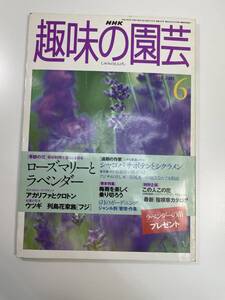 NHK 趣味の園芸　1998年　6月号　ローズマリーとラベンダー　中古品【K110362】