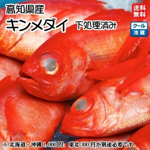 金目鯛 キンメダイ 原体800～1000g 1匹 高知県産 刺身 煮魚 焼魚 干物 下処理済み 送料無料 北海道/沖縄/東北は別途送料 宇和海の幸問屋