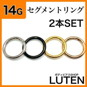 14G　セグメントリング　2本　ヒンジ付きワンタッチ　クリッカー　フープ　軟骨　イヤーロブ　ヘリックス　ステンレス　ボディピアス