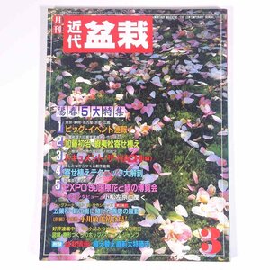 月刊 近代盆栽 No.149 1990/3 近代出版 雑誌 盆栽総合誌 園芸 ガーデニング 植物 特集・ドキュメント・ザ・HACHI(鉢) 寄せ植え大解剖 ほか