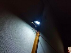 LEDナンバー灯球 TP8-GGVSタイプ専用 新型クオン 17年モデル 高輝度LED 8.000mcd 7発使用 送料無料（定形外郵便）