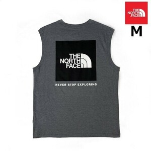 1円～!売切!【正規新品】THE NORTH FACE BOX NSE TANK タンクトップ Tシャツ US限定 ボックスロゴ グラフィック(M)グレー 180903-15