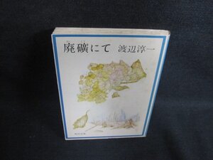 廃礦にて　渡辺淳一　シミ大・日焼け有/PFE