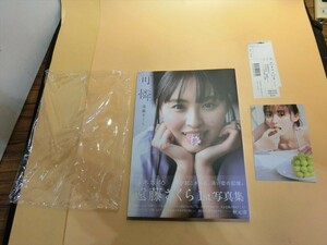 T【カ5-74】【送料無料】可憐 乃木坂46 遠藤さくら 1st写真集/須江隆治 撮影/集英社/タレント写真集 女性