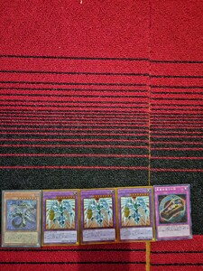 遊戯王 死霊王 ドーハスーラ他4枚 遊戯王 5枚セット 遊戯王カード A0666 遊戯王