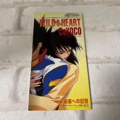 CaYOCO/WILD at HEART 新世紀ＧＰＸサイバーフォーミュラ