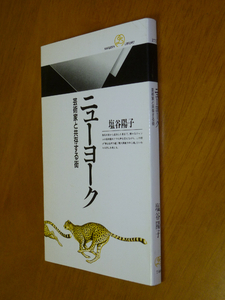 ☆即決☆『ニュ-ヨ-ク　 芸術家と共存する街』☆塩谷陽子☆送料何冊でも200円