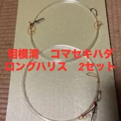 キハダマグロ　自作仕掛け2セット　相模湾　コマセマグロ