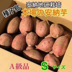 種子島　農家直送！安納地区の安納芋　S ２キロ　A級品