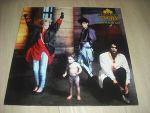 UK-EU/THOMPSON TWINS/HERE