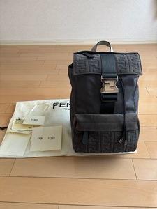 【未使用】FENDI（フェンディ）　ボディバッグ　フェンディネス Sサイズ　