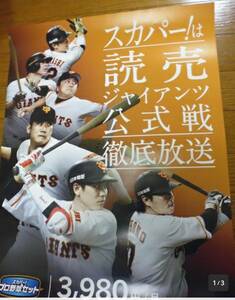 定形外送料無料 読売ジャイアンツ　非売品ポスター　坂本勇人　長野久義　菅野智之　澤村拓一　小林誠司　阿部慎之助