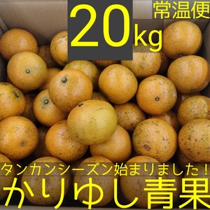 ＪＡおきなわ共撰タンカン優品 約20kg【常温便】①