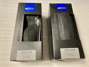 SCHWALBE G-ONE ALLROUND Evolution 700x38C 2本セット