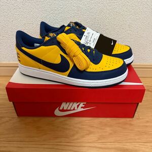 【新品未使用】NIKE TERMINATOR LOW OG MICHIGAN