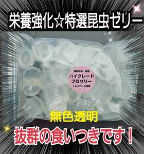 ハイグレードプロゼリー【50個入】トレハロース強化！　クワガタ・カブトムシの産卵数アップ・長寿効果に抜群！　食べやすいワイドカップ　