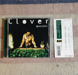 CD　CLOVER　スガシカオ 　オビ・歌詞付　正規国内盤　ディスク良好　割引特典あり