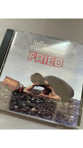 Julian Cope / FRIED