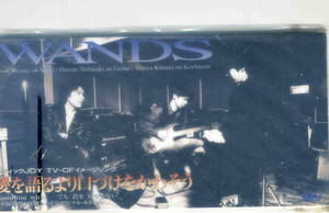 「愛を語るより口ずけをかわそう」WANDS CD