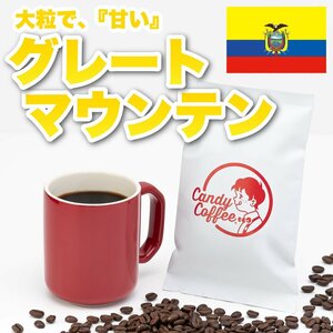 【出来立て】自家焙煎コーヒー豆　グレートマウンテン　100g　100%ストレート エクアドル原産 ブルマン　キャンディコーヒー　Candy Coffee