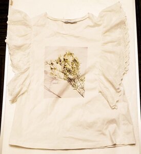 ZARA ザラ　レース付き ノースリーブ Tシャツ 