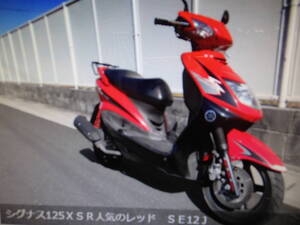 ヤマハ　ギフ　シグナス125ＸＳＲ人気のレッド　中古車　趣味のバイク　マニア館　モレラギフ付近　株式会社ギフトップトレ-ディングカンパ