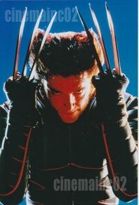 ミニサイズ！ヒュー・ジャックマン/『X-メン』爪を立てるウルヴァリンの写真