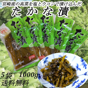 【甘造りたかな漬】200g×5袋　宮崎の自然が醸し出す、おいしさの蔵出し高菜！　ご飯のお供に おにぎりに 炒飯に 送料無料