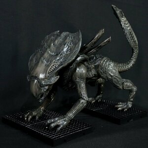 ◆エイリアン◆ゼノモーフ・クラッシャー◆30cm◆アクション フィギュア◆Hiya Toys◆Colonial Marines◆