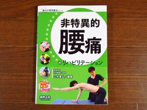 痛みの理学療法シリーズ 非特異的腰痛のリハビリテーション 赤坂清和/竹林庸雄/監修 羊土社 KA1