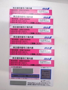 大黒屋 ☆ ANA株主優待券×6枚組 ☆ 期限2025年5月31日まで