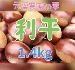 利平　生栗1.4kg