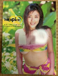 【 超貴重・美品 】梶原亜紀　写真集Hot Spice