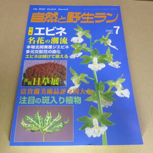 ＹＮ1-240911☆自然と野生ラン 2002年7月号