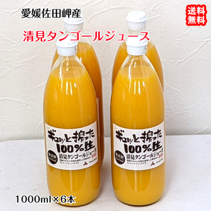 愛媛 佐田岬産 清見タンゴールジュース 1000ml×6本 完熟の果汁 送料無料 宇和海の幸問屋