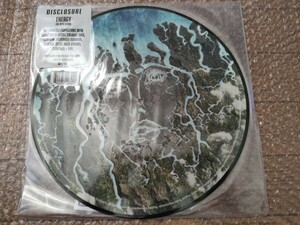 未開封 DISCLOSURE ENERGY LIMITED EDITON PICTURE DISC 2枚組 ディスクロージャー