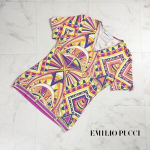 美品 EMILIO PUCCI エミリオ・プッチ 総柄 Vネック半袖カットソー ストレッチ素材 トップス レディース マルチカラー サイズXS*QC94