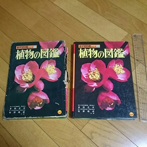 植物の図鑑★小学館★レトロ