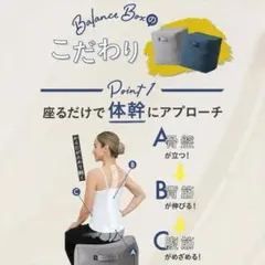 【訳アリ】　バランスボックス　アメイズプラス　Amaze Plus 　グレー