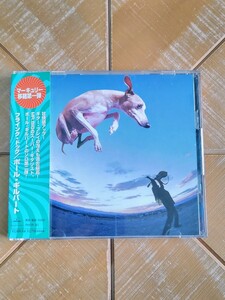 PAUL GILBERT　ポール・ギルバート　CD「フライング・ドッグ」